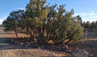 690 CR 8235 Dr, Concho, AZ 85924