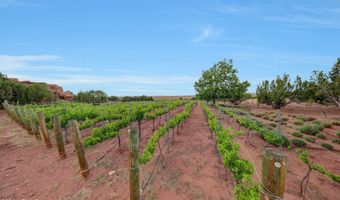 14 COUNTY ROAD 5309, Concho, AZ 85924