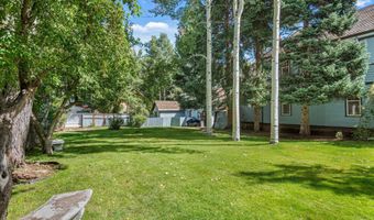 500 W Francis St, Aspen, CO 81611