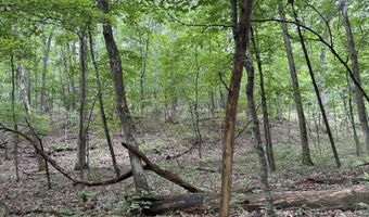 S HAGANS Road, Ashland, MO 65010