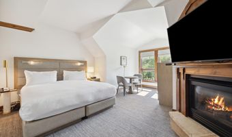 415 E Dean St. Unit 49 Week 33, Aspen, CO 81611