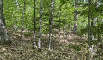 11-6 4 Reservoir Rd, Campton, NH 03223