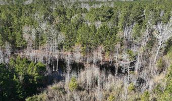 00 Hadwin Rd, Bamberg, SC 29003