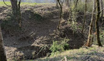 Wells Landing Road, Albany, KY 42602