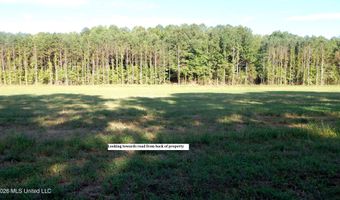 County Road 247, Bruce, MS 38915