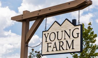 812 Heathered Farm Way, Apex, NC 27523