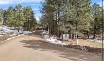 64 Mammoth Mountain Rd 113, Angel Fire, NM 87710