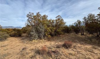 59255 Breiner Valley Rd, Anza, CA 92539