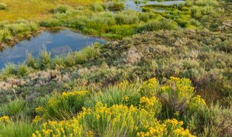 TRACT 17 FISHERMAN CREEK Road, Bondurant, WY 82922