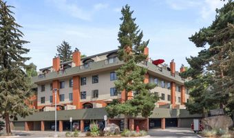 100 Midland Ave #106, Basalt, CO 81621
