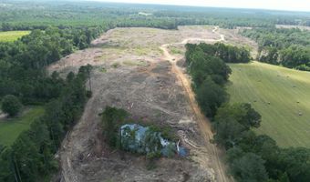 SE Cole Drive, Bogue Chitto, MS 39629