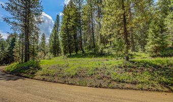 TBD Tamarack View Drive, New Meadows, ID 83654