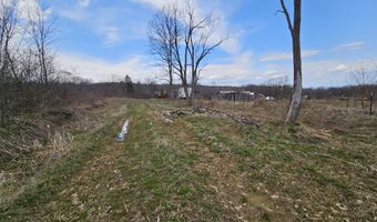 295 Shellstone Rd, Amsterdam, NY 12010