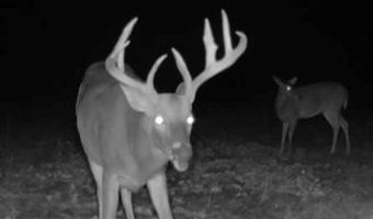 1037 Cr 300, Big Creek, MS 38914