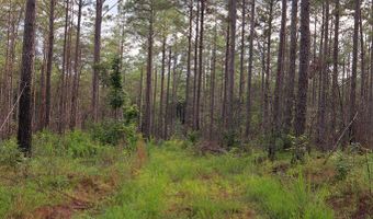 Hwy 9, Bruce, MS 38915