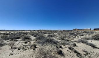 Heidi Road, Fallon, NV 89406