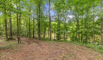 8165 County Road 97, Abbeville, AL 36310