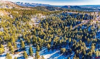 TBD Lot 13 Beaver Creek Ranch Drive, Bayfield, CO 81122