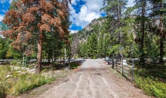 11336 County Road 742, Almont, CO 81210