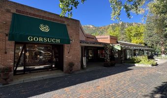 419 E Cooper Ave, Aspen, CO 81611