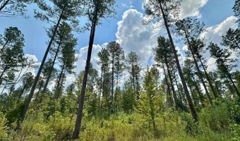 1 Prentiss Crump Rd, Terry, MS 39170