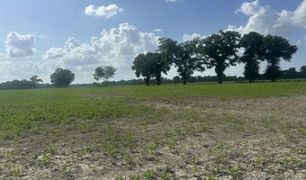 Oscar Rivette Road lot Tract 4, Arnaudville, LA 70512