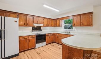 480 Paint Fork Rd, Barnardsville, NC 28709