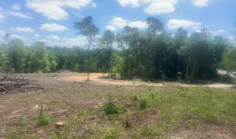 Highway 27, Attapulgus, GA 39815