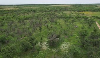 Tbd FM 600, Anson, TX 79501