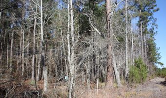 2650 Joe Miley Rd, Brunson, SC 29911