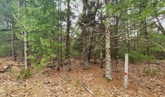 Dyke Avenue lot 8, Adams, WI 53910