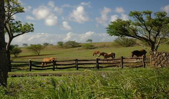 56-113 PUALANI Rd Lot #: 10-A, Hawi, HI 96719