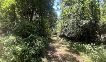 0 Christi Smith Rd, Andalusia, AL 36421