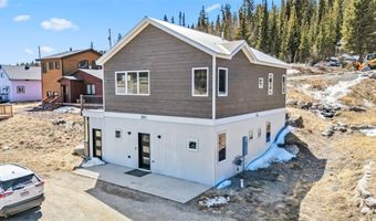 255 FLANNIGAN Cir, Alma, CO 80420