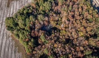 3431 Gladys Ct, Albany, GA 31705