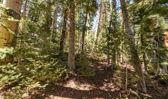 693 W Hunter Ridge Dr, Brian Head, UT 84719