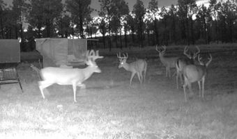 Rockmine Rd Arlington GA 39813, Arlington, GA 39813