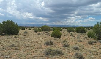 Tbd Windsor Valley Ranch Lot 87, Concho, AZ 85924
