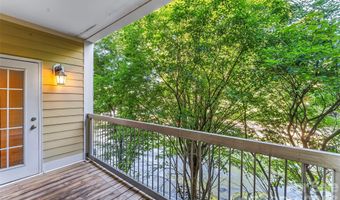 175 S Lexington Ave 202, Asheville, NC 28801