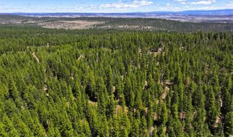 8193 Carlsberg Rd, Alturas, CA 96101