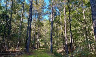 0 Lloyd Mill Rd, Andalusia, AL 36421