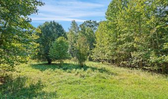 PINEPITCH Road, Harrington, DE 19952