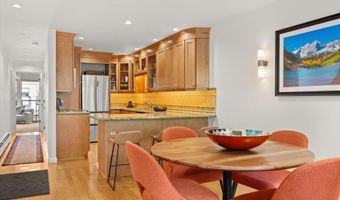 980 E Hyman Ave 3, Aspen, CO 81611