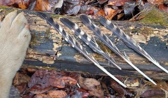 4775 S 50th Rd, Aldrich, MO 65601