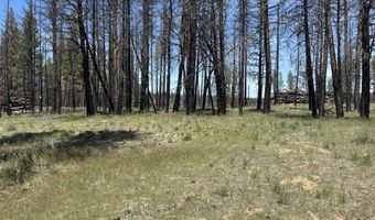 Off Hicks Road Lot 3, Bly, OR 97622