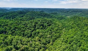 2926 Bryant Ridge Rd, Baxter, TN 38544