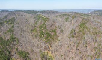 163 Acres Duck Springs Rd, Attalla, AL 35954