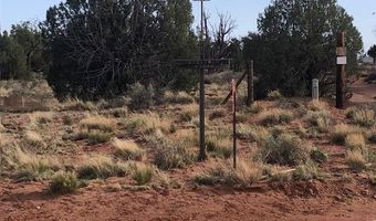 Tbd WICKED SISTERS, Concho, AZ 85924
