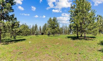 507 Bearlea Rd, Anatone, WA 99402