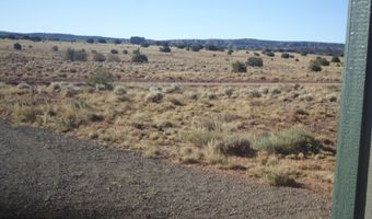 87 County Road 5311, Concho, AZ 85924